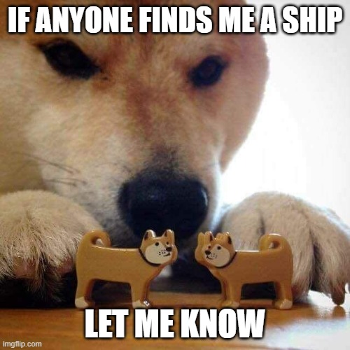 dog now kiss  | IF ANYONE FINDS ME A SHIP; LET ME KNOW | image tagged in dog now kiss | made w/ Imgflip meme maker