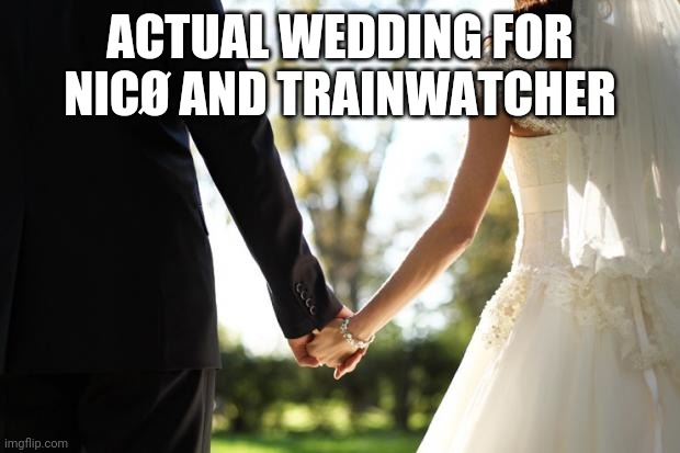 wedding | ACTUAL WEDDING FOR NICØ AND TRAINWATCHER | image tagged in wedding | made w/ Imgflip meme maker