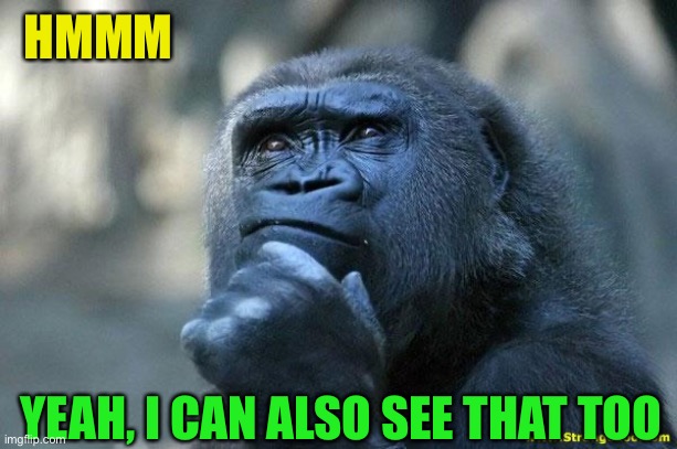 Deep Thoughts | HMMM YEAH, I CAN ALSO SEE THAT TOO | image tagged in deep thoughts | made w/ Imgflip meme maker