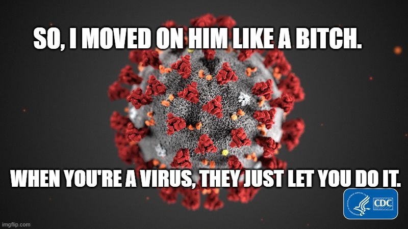 Covid 19 | SO, I MOVED ON HIM LIKE A BITCH. WHEN YOU'RE A VIRUS, THEY JUST LET YOU DO IT. | image tagged in covid 19 | made w/ Imgflip meme maker