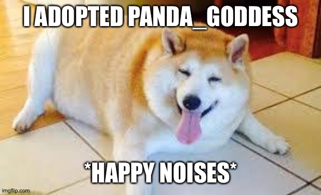 Thicc Doggo | I ADOPTED PANDA_GODDESS; *HAPPY NOISES* | image tagged in thicc doggo | made w/ Imgflip meme maker