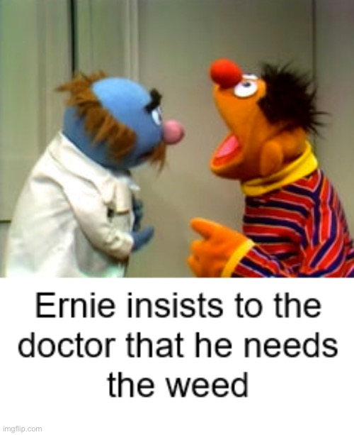 The weed | image tagged in funny,memes,funny memes,sesame street,weed,doctor | made w/ Imgflip meme maker