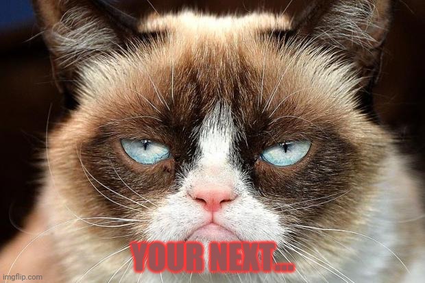 Grumpy Cat Not Amused Meme | YOUR NEXT... | image tagged in memes,grumpy cat not amused,grumpy cat | made w/ Imgflip meme maker