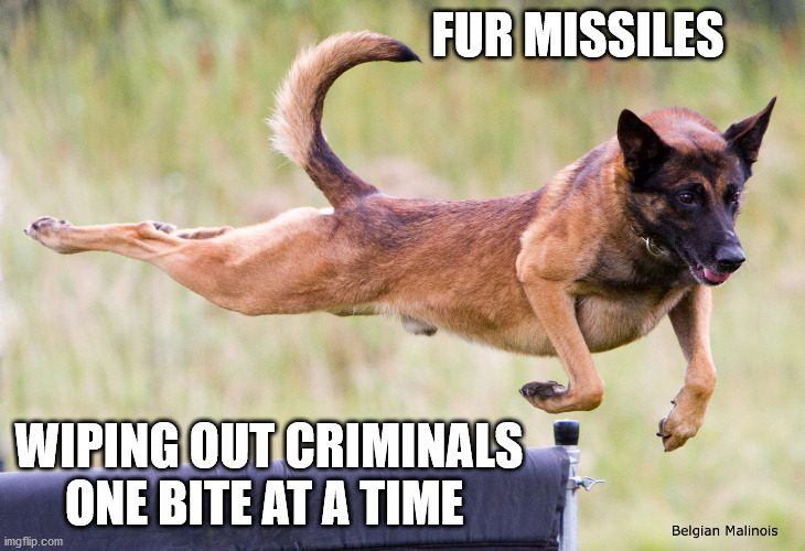 FUR MISSILES; WIPING OUT CRIMINALS ONE BITE AT A TIME | image tagged in fur missile,fighting crime,crime dog | made w/ Imgflip meme maker