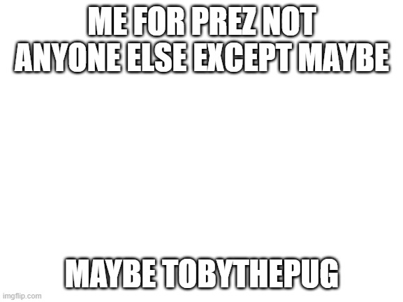 Blank White Template |  ME FOR PREZ NOT ANYONE ELSE EXCEPT MAYBE; MAYBE TOBYTHEPUG | image tagged in blank white template | made w/ Imgflip meme maker