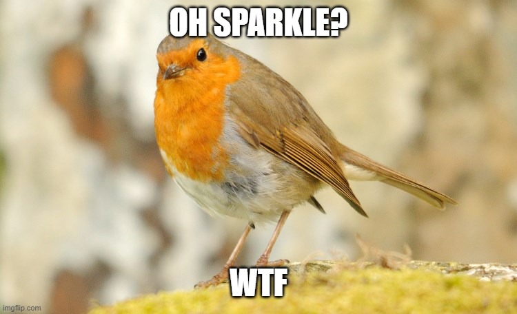 U wot m8 Robin | OH SPARKLE? WTF | image tagged in u wot m8 robin | made w/ Imgflip meme maker