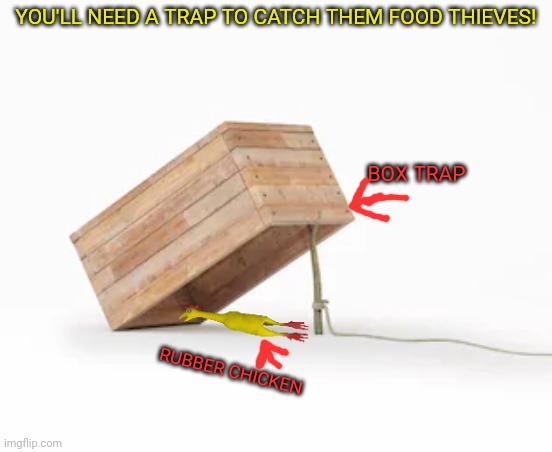 YOU'LL NEED A TRAP TO CATCH THEM FOOD THIEVES! RUBBER CHICKEN BOX TRAP | made w/ Imgflip meme maker