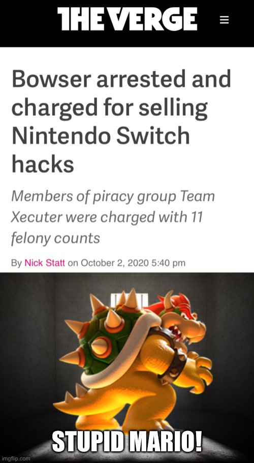 Apparently a Nintendo character just got arrested for selling hacks | STUPID MARIO! | image tagged in bowser,super mario,nintendo,arrested,memes | made w/ Imgflip meme maker