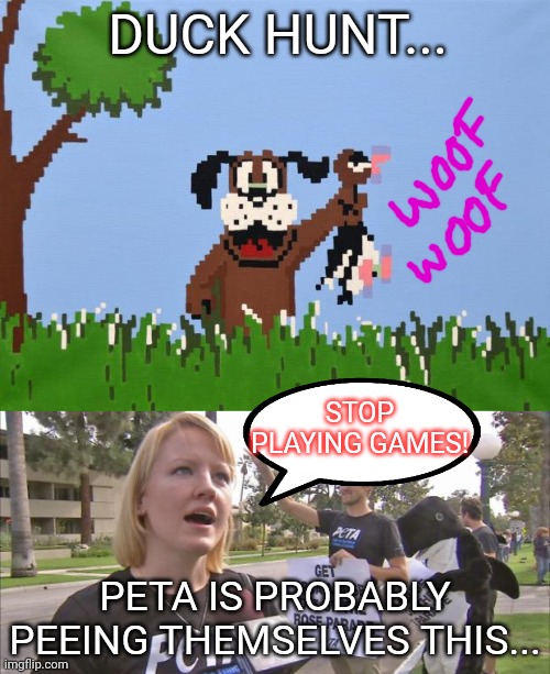 DUCK HUNT... PETA IS PROBABLY PEEING THEMSELVES THIS... STOP PLAYING GAMES! | image tagged in duck hunt,stupid peta | made w/ Imgflip meme maker