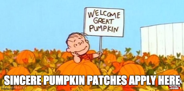 great pumpkin linus | SINCERE PUMPKIN PATCHES APPLY HERE | image tagged in great pumpkin linus | made w/ Imgflip meme maker