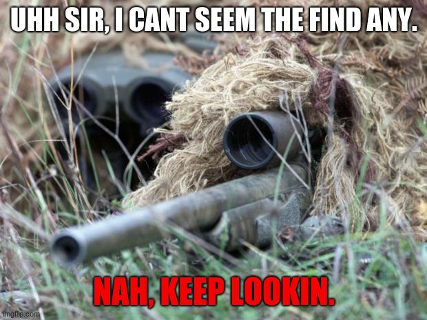 British Sniper Team | UHH SIR, I CANT SEEM THE FIND ANY. NAH, KEEP LOOKIN. | image tagged in british sniper team | made w/ Imgflip meme maker