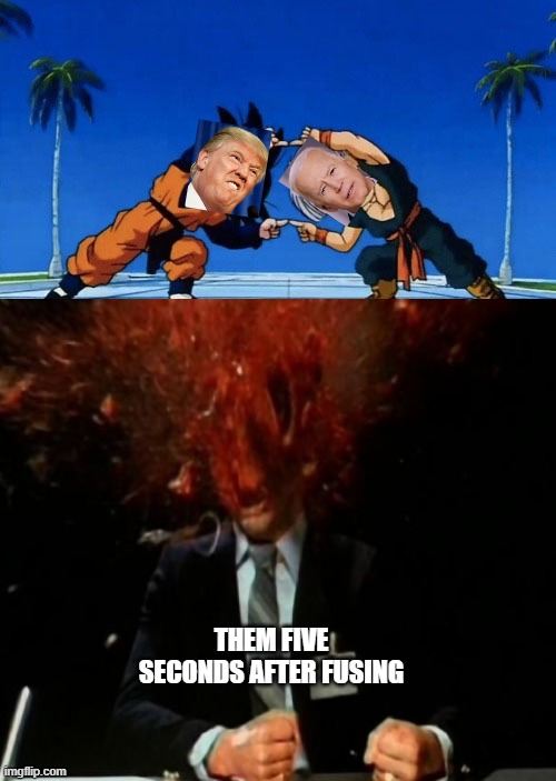 THEM FIVE SECONDS AFTER FUSING | image tagged in dbz | made w/ Imgflip meme maker