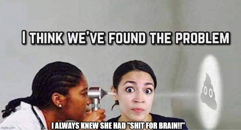 Shit For BRAINS!! | I ALWAYS KNEW SHE HAD "SHIT FOR BRAIN!!" | image tagged in humor | made w/ Imgflip meme maker