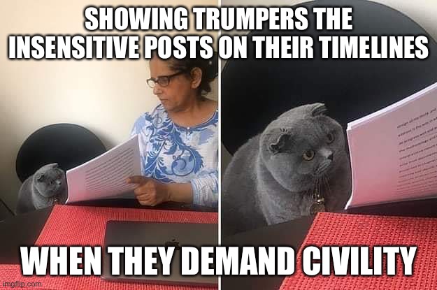 Self Aware? | SHOWING TRUMPERS THE INSENSITIVE POSTS ON THEIR TIMELINES; WHEN THEY DEMAND CIVILITY | image tagged in woman showing paper to cat | made w/ Imgflip meme maker