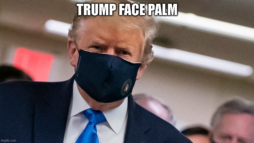 The new Face Palm, the Trump Face Palm | TRUMP FACE PALM | image tagged in donald trump,facepalm,covid,face mask | made w/ Imgflip meme maker