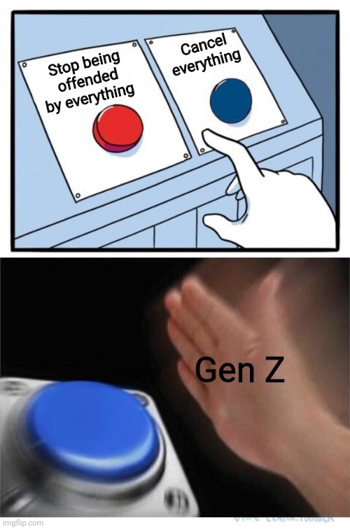 Gen Z... please grow up | Cancel everything; Stop being offended by everything; Gen Z | image tagged in two buttons 1 blue | made w/ Imgflip meme maker