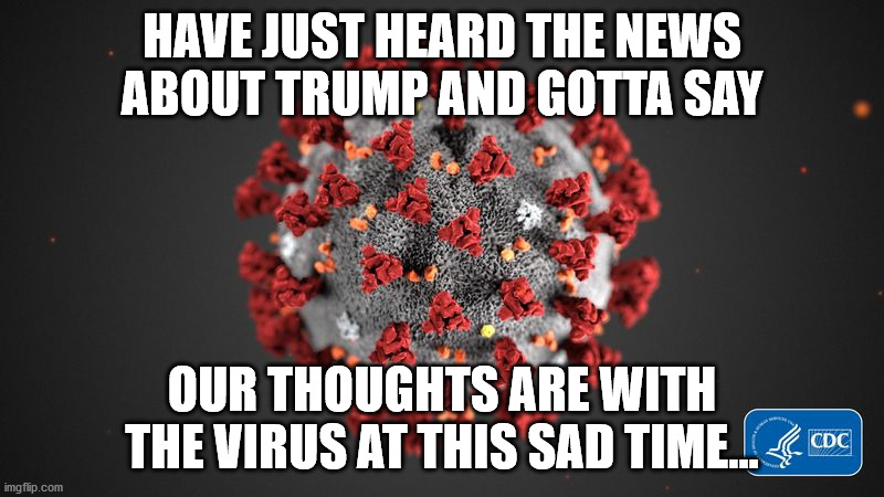 Wishing well | HAVE JUST HEARD THE NEWS ABOUT TRUMP AND GOTTA SAY; OUR THOUGHTS ARE WITH THE VIRUS AT THIS SAD TIME... | image tagged in covid 19,trump,biden,vaccine,election2020 | made w/ Imgflip meme maker