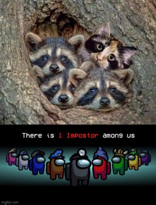 Calico agent | image tagged in there is 1 imposter among us | made w/ Imgflip meme maker