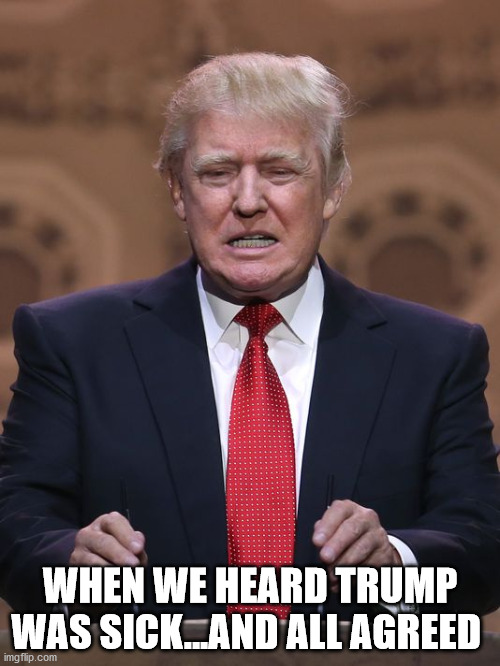 Trumps sick... | WHEN WE HEARD TRUMP WAS SICK...AND ALL AGREED | image tagged in donald trump,sick,biden2020,covid-19 | made w/ Imgflip meme maker