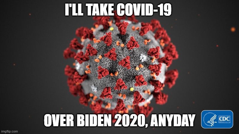 How I feel | I'LL TAKE COVID-19; OVER BIDEN 2020, ANYDAY | image tagged in covid 19,trump,biden,election,debates,riots | made w/ Imgflip meme maker