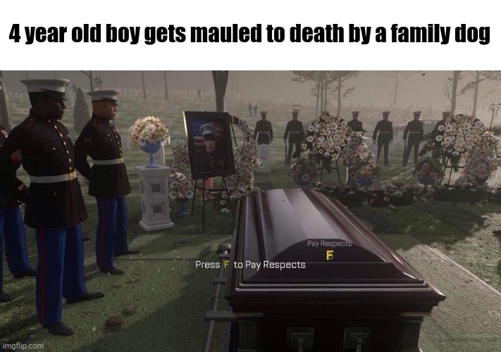 Sad meme comment | 4 year old boy gets mauled to death by a family dog | image tagged in press f to pay respects,memes,meme,meme comments,comments,comment section | made w/ Imgflip meme maker