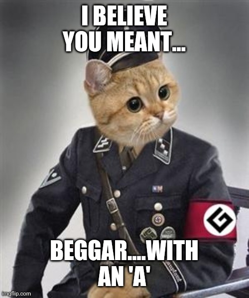 Grammar Nazi Cat | I BELIEVE YOU MEANT... BEGGAR....WITH AN 'A' | image tagged in grammar nazi cat | made w/ Imgflip meme maker
