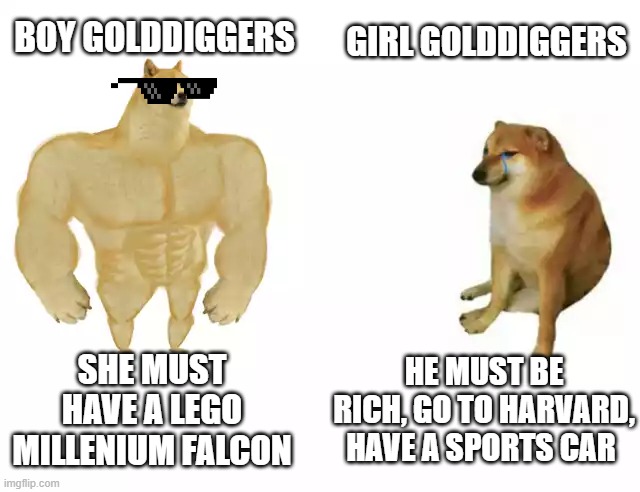 Buff Doge vs. Cheems | BOY GOLDDIGGERS; GIRL GOLDDIGGERS; SHE MUST HAVE A LEGO MILLENIUM FALCON; HE MUST BE RICH, GO TO HARVARD, HAVE A SPORTS CAR | image tagged in buff doge vs cheems | made w/ Imgflip meme maker