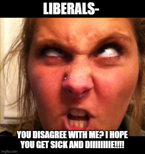 ahh  liberals,  such a well rounded sensible bunch.. | LIBERALS-; YOU DISAGREE WITH ME? I HOPE YOU GET SICK AND DIIIIIIIIE!!!! | image tagged in stupid liberals,millennials,brain dead,zombies,maga,2020 | made w/ Imgflip meme maker