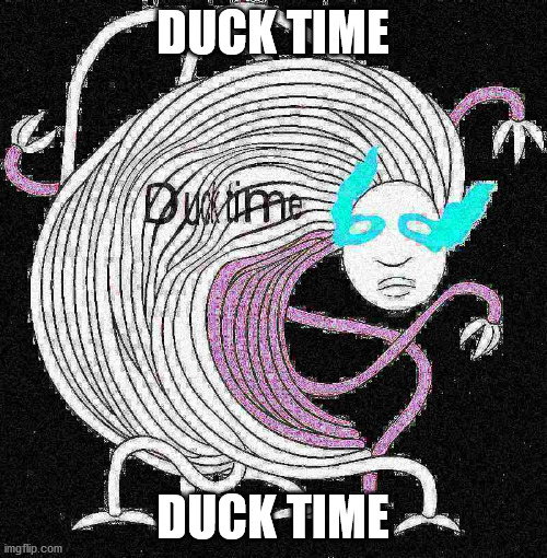 DUCK TIME DUCK TIME | image tagged in duck time | made w/ Imgflip meme maker