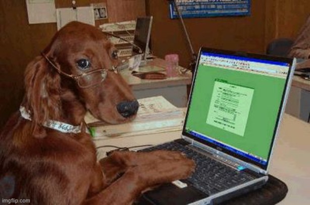 Dog with Glasses on Computer | image tagged in dog with glasses on computer | made w/ Imgflip meme maker