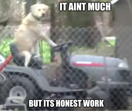 Dog on mower! Where is he going? | IT AINT MUCH; BUT ITS HONEST WORK | image tagged in memes,dog,funny,shitpost,flhb,lawnmower | made w/ Imgflip meme maker