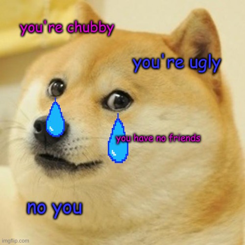 Doge Meme | you're chubby; you're ugly; you have no friends; no you | image tagged in memes,doge | made w/ Imgflip meme maker