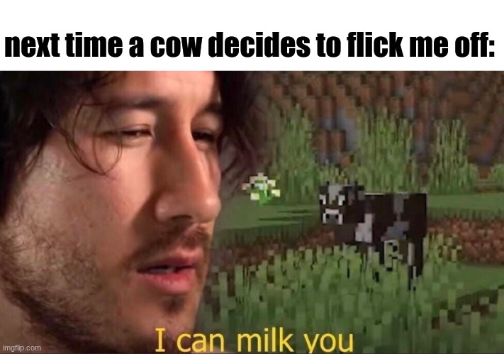 What have i created? | next time a cow decides to flick me off: | image tagged in i can milk you template,memes,flick off,cows,it happens all of the time,i'm bored | made w/ Imgflip meme maker