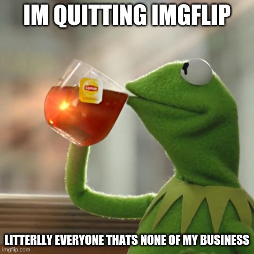 But That's None Of My Business Meme | IM QUITTING IMGFLIP; LITTERLLY EVERYONE THATS NONE OF MY BUSINESS | image tagged in memes,but that's none of my business,kermit the frog | made w/ Imgflip meme maker