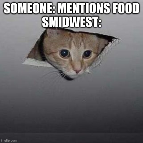 Ceiling Cat Meme | SOMEONE: MENTIONS FOOD
SMIDWEST: | image tagged in memes,ceiling cat | made w/ Imgflip meme maker