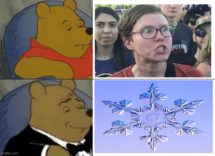 Liberals are snowflakes | image tagged in memes,tuxedo winnie the pooh,snowflake,triggered liberal,special snowflake,snowflakes | made w/ Imgflip meme maker