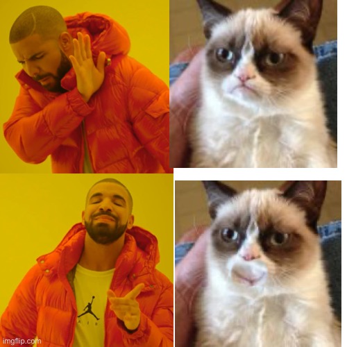 i made a new template | image tagged in memes,drake hotline bling,grumpy cat,face swap | made w/ Imgflip meme maker