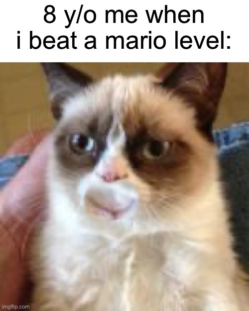 who can relate? | 8 y/o me when i beat a mario level: | image tagged in happy cat,memes,cats | made w/ Imgflip meme maker