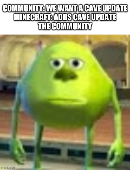FINALLY I DIDN"T THINK THEY WOULD SO IT | COMMUNITY: WE WANT A CAVE UPDATE
MINECRAFT: ADDS CAVE UPDATE
THE COMMUNITY | image tagged in sully wazowski | made w/ Imgflip meme maker
