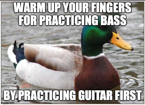 Most Bassists Also Own a Guitar, Right? | WARM UP YOUR FINGERS FOR PRACTICING BASS; BY PRACTICING GUITAR FIRST | image tagged in memes,actual advice mallard,guitar,bass | made w/ Imgflip meme maker