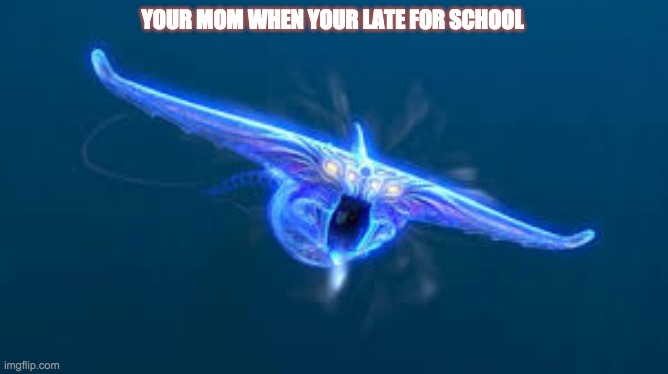 I'm not wrong | YOUR MOM WHEN YOUR LATE FOR SCHOOL | image tagged in subnautica ghost leviathan | made w/ Imgflip meme maker