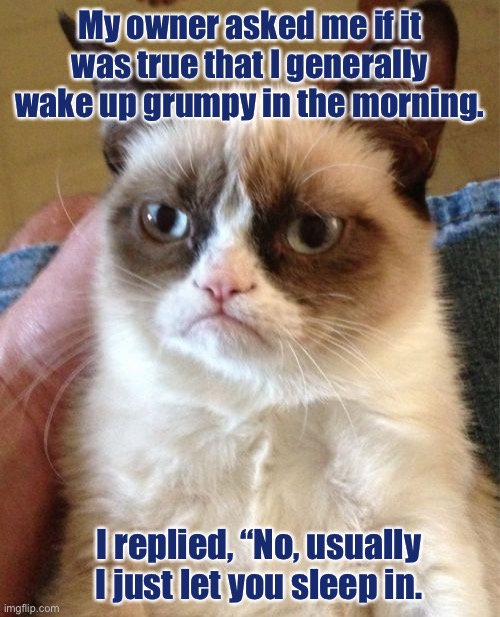 Grumpy Cat Meme | My owner asked me if it was true that I generally wake up grumpy in the morning. I replied, “No, usually I just let you sleep in. | image tagged in memes,grumpy cat | made w/ Imgflip meme maker