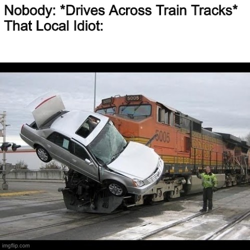 True that | Nobody: *Drives Across Train Tracks*
That Local Idiot: | image tagged in blank white template,car crash,cool | made w/ Imgflip meme maker