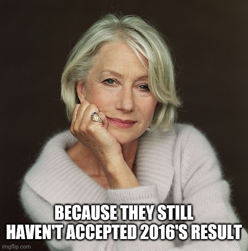 Helen Mirren | BECAUSE THEY STILL HAVEN'T ACCEPTED 2016'S RESULT | image tagged in helen mirren | made w/ Imgflip meme maker