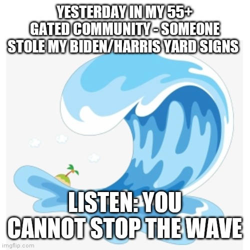 Blue wave | YESTERDAY IN MY 55+ GATED COMMUNITY - SOMEONE STOLE MY BIDEN/HARRIS YARD SIGNS; LISTEN: YOU CANNOT STOP THE WAVE | image tagged in wave | made w/ Imgflip meme maker