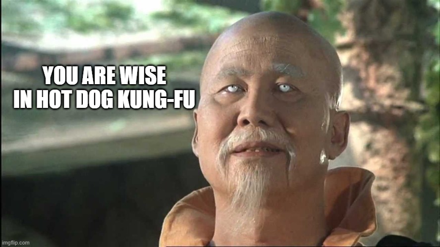 Kung Fu Po | YOU ARE WISE IN HOT DOG KUNG-FU | image tagged in kung fu po | made w/ Imgflip meme maker