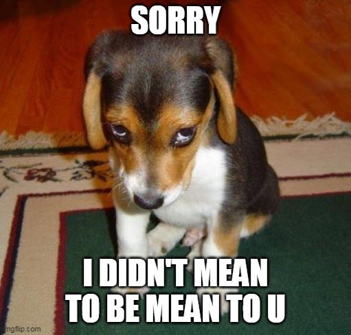 sorry | SORRY I DIDN'T MEAN TO BE MEAN TO U | image tagged in sorry | made w/ Imgflip meme maker