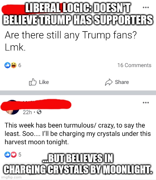 Anti-Trumpers are the best...for memes :) | LIBERAL LOGIC: DOESN'T BELIEVE TRUMP HAS SUPPORTERS; ...BUT BELIEVES IN CHARGING CRYSTALS BY MOONLIGHT. | image tagged in trump,trump 2020,liberal logic,crystal,democrats,idiot | made w/ Imgflip meme maker