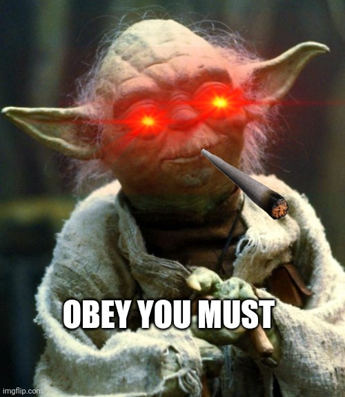 Star Wars Yoda | OBEY YOU MUST | image tagged in memes,star wars yoda | made w/ Imgflip meme maker