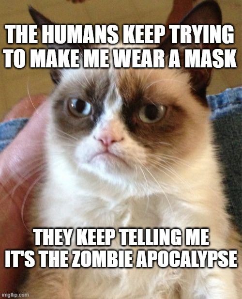 2020 zombie apocalypse | THE HUMANS KEEP TRYING TO MAKE ME WEAR A MASK; THEY KEEP TELLING ME IT'S THE ZOMBIE APOCALYPSE | image tagged in memes,grumpy cat | made w/ Imgflip meme maker